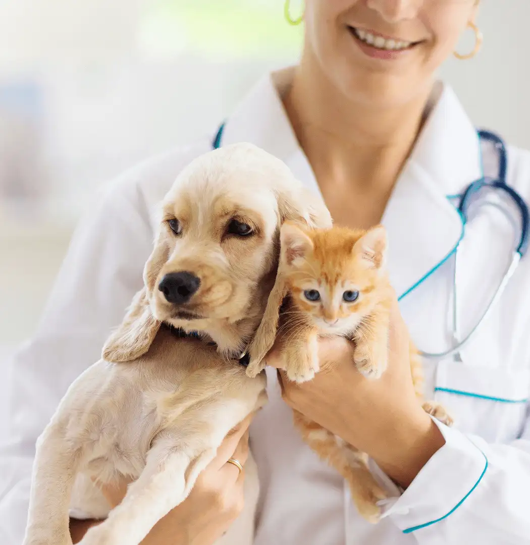 Pets and Pet Care